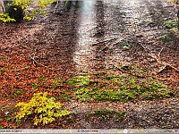 Autunno 2011